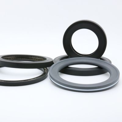 PTFE PEEK Material Spring Energized Seals For Food Machinery Anti Corrosion