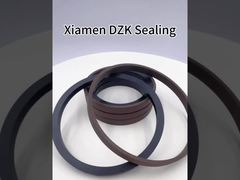 Hydraulische Zylinderkolbendichtungen Spg Spgo Spno Spgw